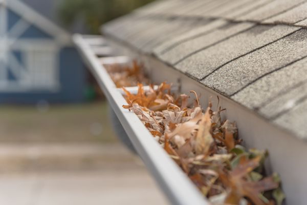 Leaf Barrier Installation in Winder